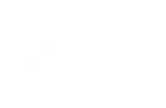 Kandui